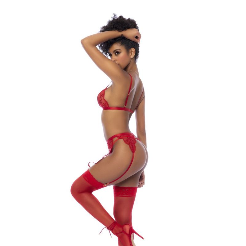 Garter Belt and Thong-8893-RED-S/M