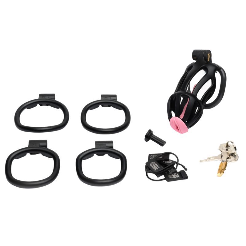 Centurion Size 2 Cock Cage with Pussification Plug-SF-23604M