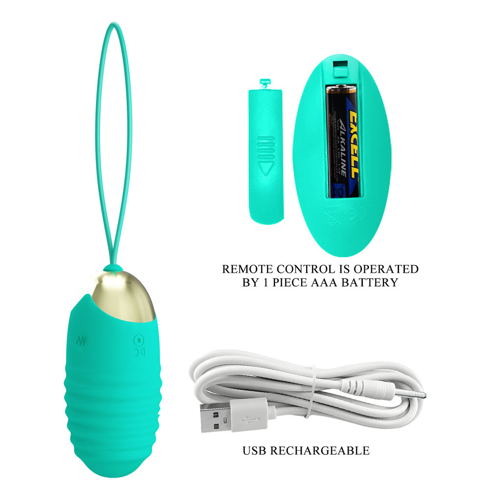Party Up IAN Remote Egg - Teal - Teal USB Rechargeable Vibrating Egg with Wireless Remote-BI-014362W-3A4-PU
