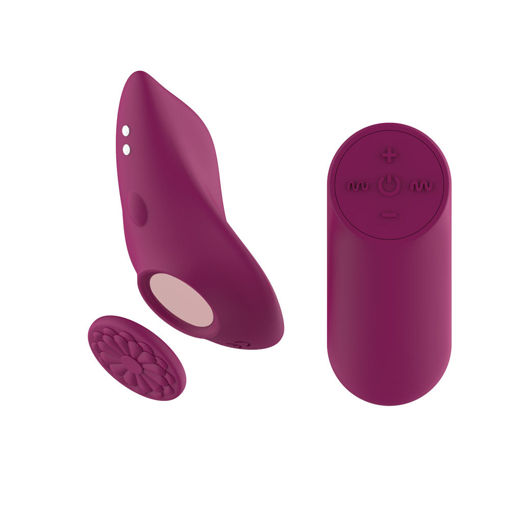 Passion Play Magnet Panty Vibe with Remote - Purple USB Rechargeable Panty Vibrator with Wireless Remote Control - PP0081