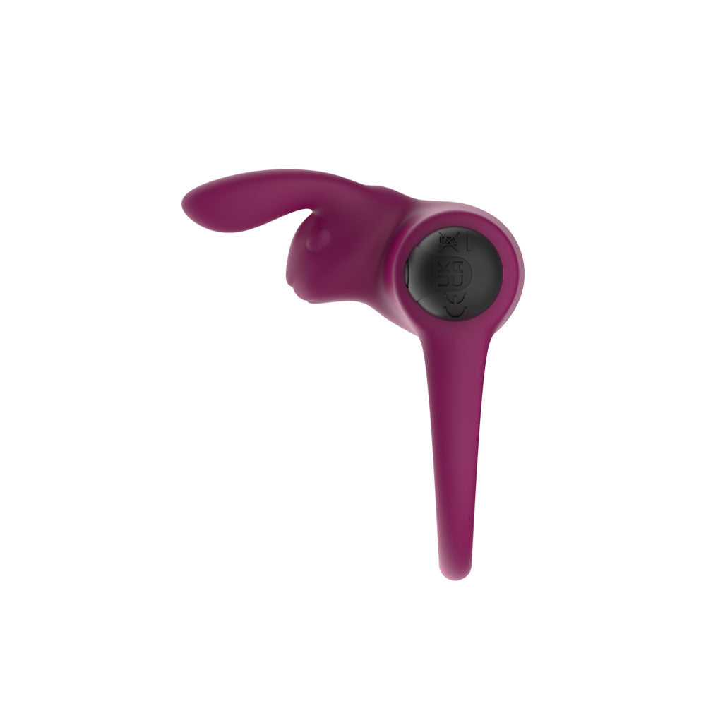Passion Play Silicone Rabbit Vibrating Cockring - Purple USB Rechargeable Vibrating Penis and B
