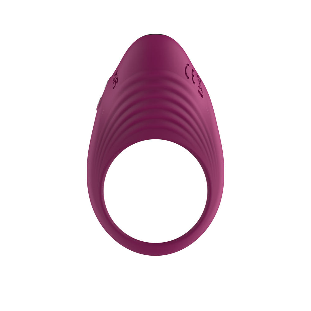 Passion Play Silicone Vibrating Cockring - Purple USB Rechargeable Penis Ring - PP0256