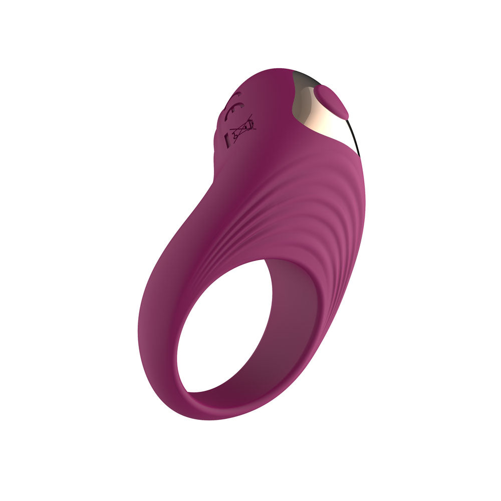 Passion Play Silicone Vibrating Cockring - Purple USB Rechargeable Penis Ring - PP0256