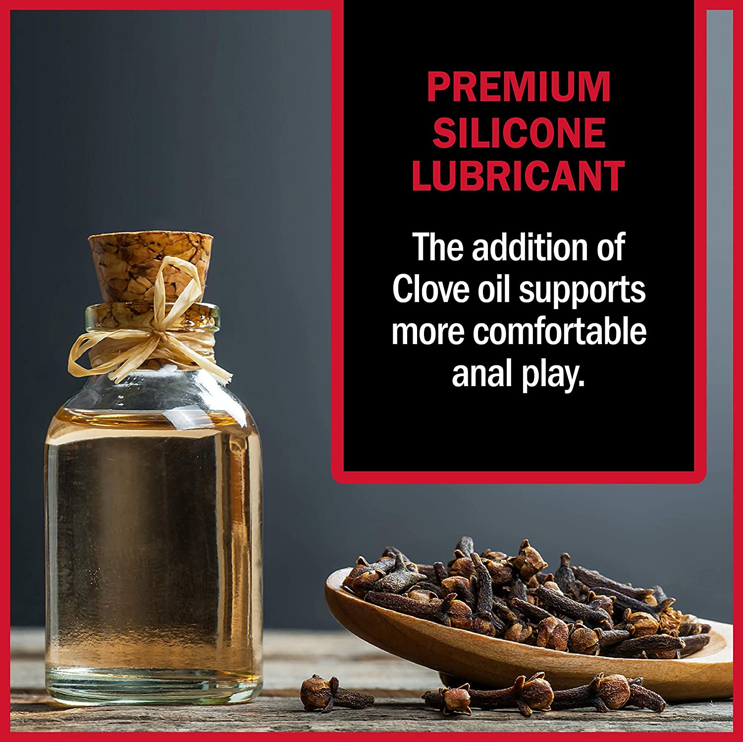 Swiss Navy Premium Anal Lubricant - Premium Silicone Anal Lubricant 473 ml (16 oz) Bottle