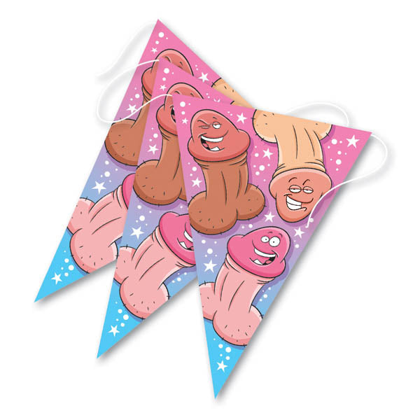 Bachelorette Party Banner - Hen's Party Novelty - Early2bed