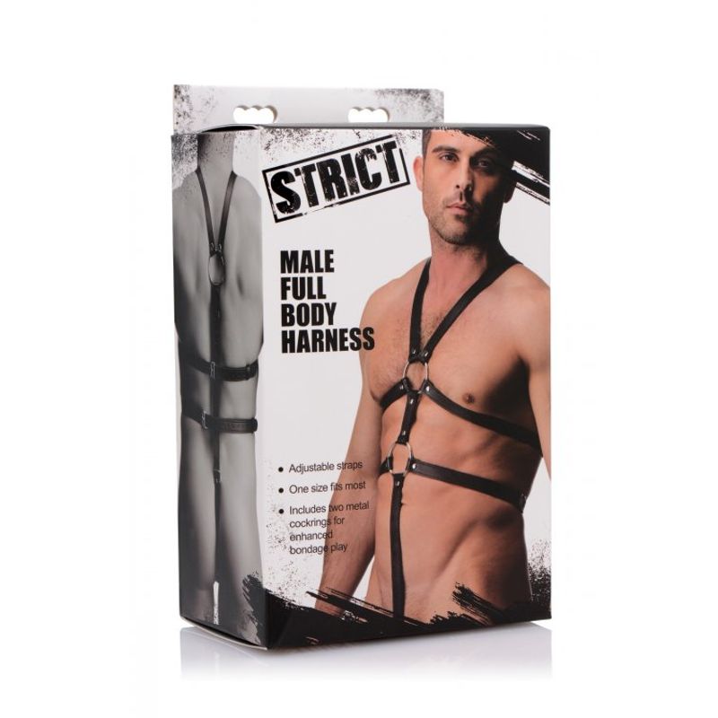 Male Full Body Harness-AF249