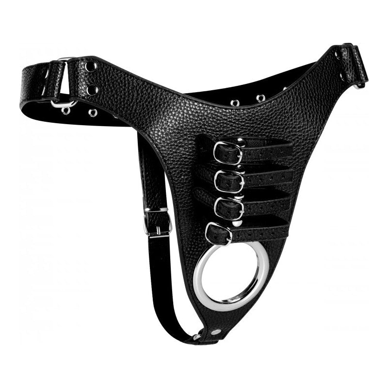 Male Chastity Harness