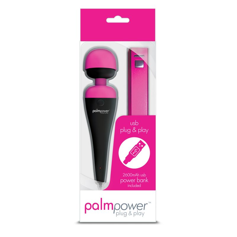 PalmPower Massage Wand Plug and Play USB