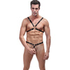 Male Power Rip Off Harness Set