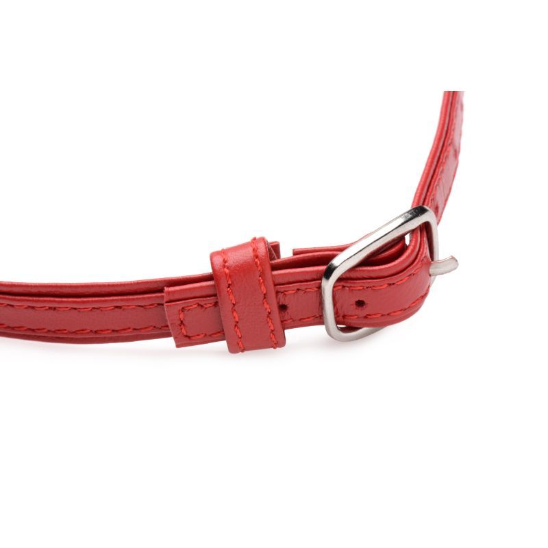 Fiery Pet Leather Choker w Silver Ring Red