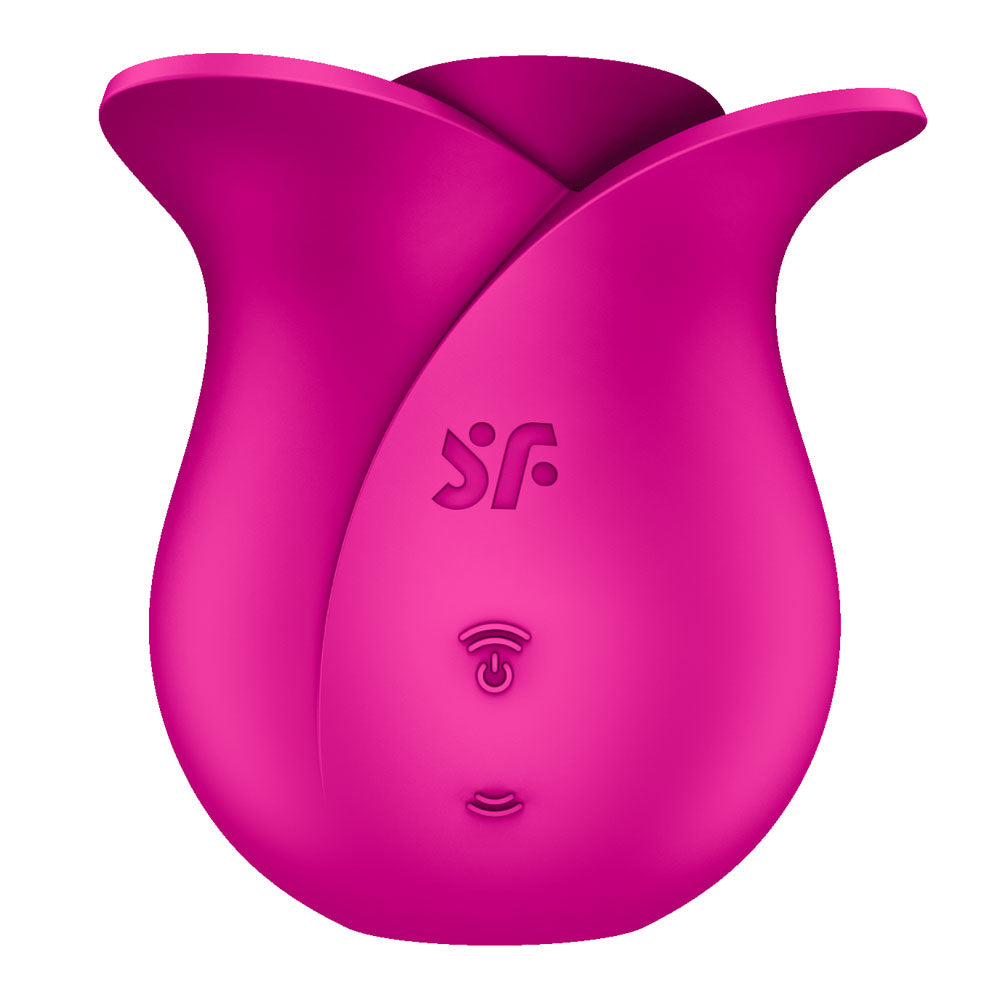 Satisfyer Pro 2 Modern Blossom - Modern Pink USB Rechargeable Air Pulse Rose Stimulator-4065861