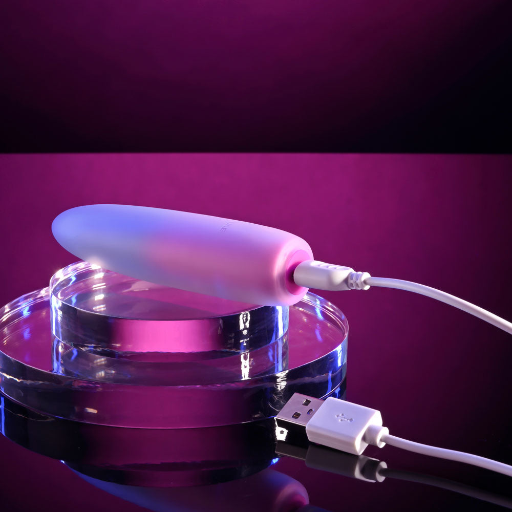 Evolved PARADISE BULLET - Pink/Purple 10.2 cm USB Rechargeable Bullet-EN-RS-5698-2