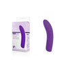 Cozy Pointer - Purple-(fpbq010a00-022)