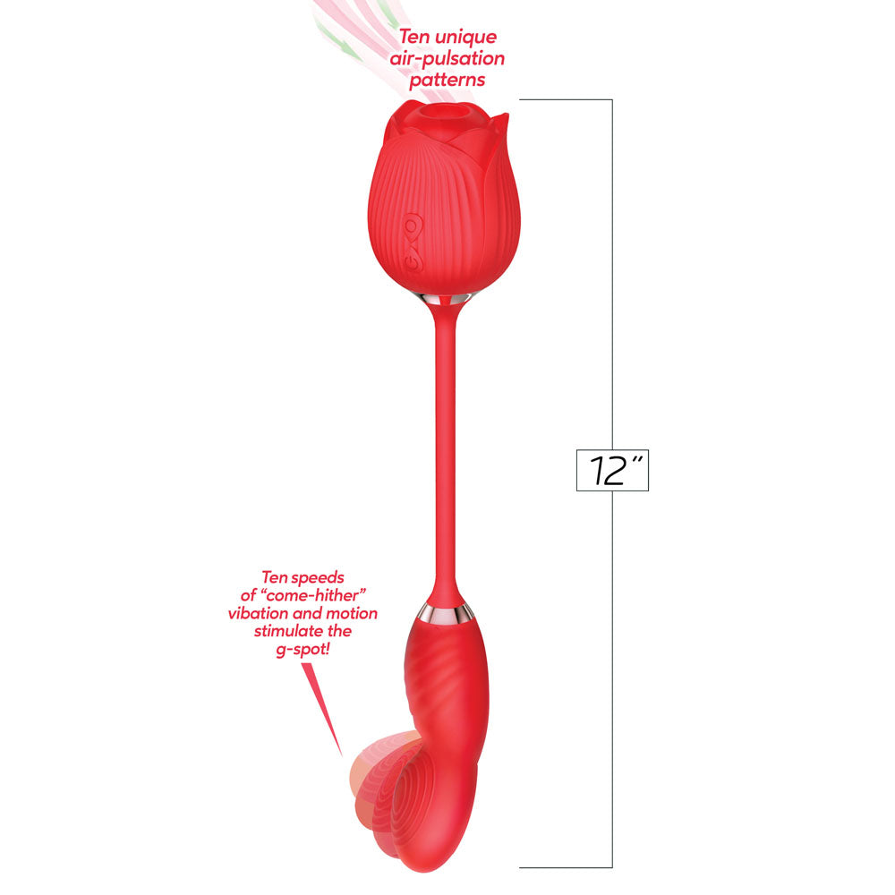 Wild Rose Come Hither & Suction Vibrator - Red USB Rechargeable Air Pulse Stimulator and Vibrator-IC1707