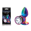 Rear Assets Multi Coloured Small - Multi Coloured Small Metal Butt Plug with Clear Gem Base-NSN-0960-11