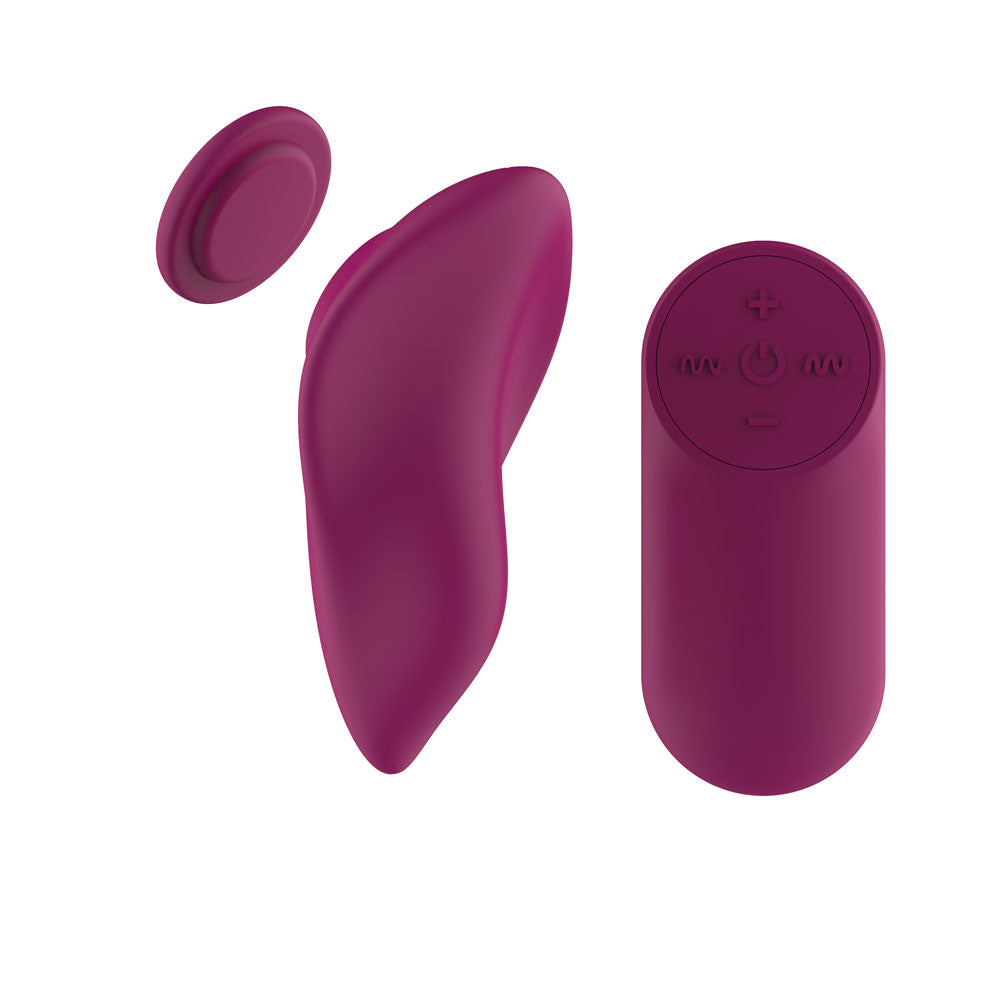 Passion Play Magnet Panty Vibe with Remote - Purple USB Rechargeable Panty Vibrator with Wireless Remote Control - PP0081