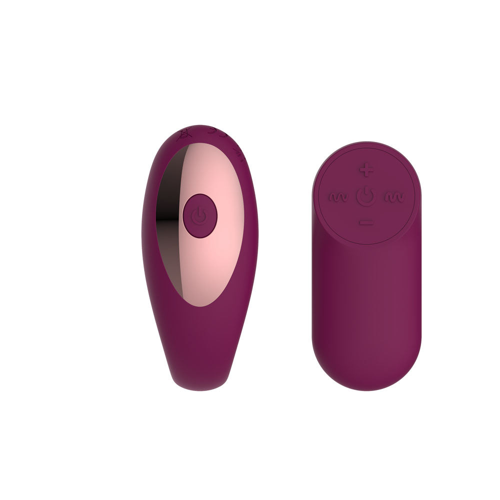 Passion Play Couple Vibe with Remote Controller - Purple USB Rechargeable Couples Vibrator with Wireless Remote - PP0094