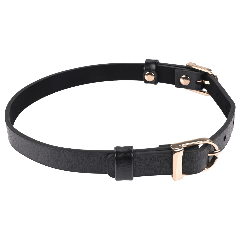 Sex & Mischief Double Buckle Day Collar - Black Collar-SS09854