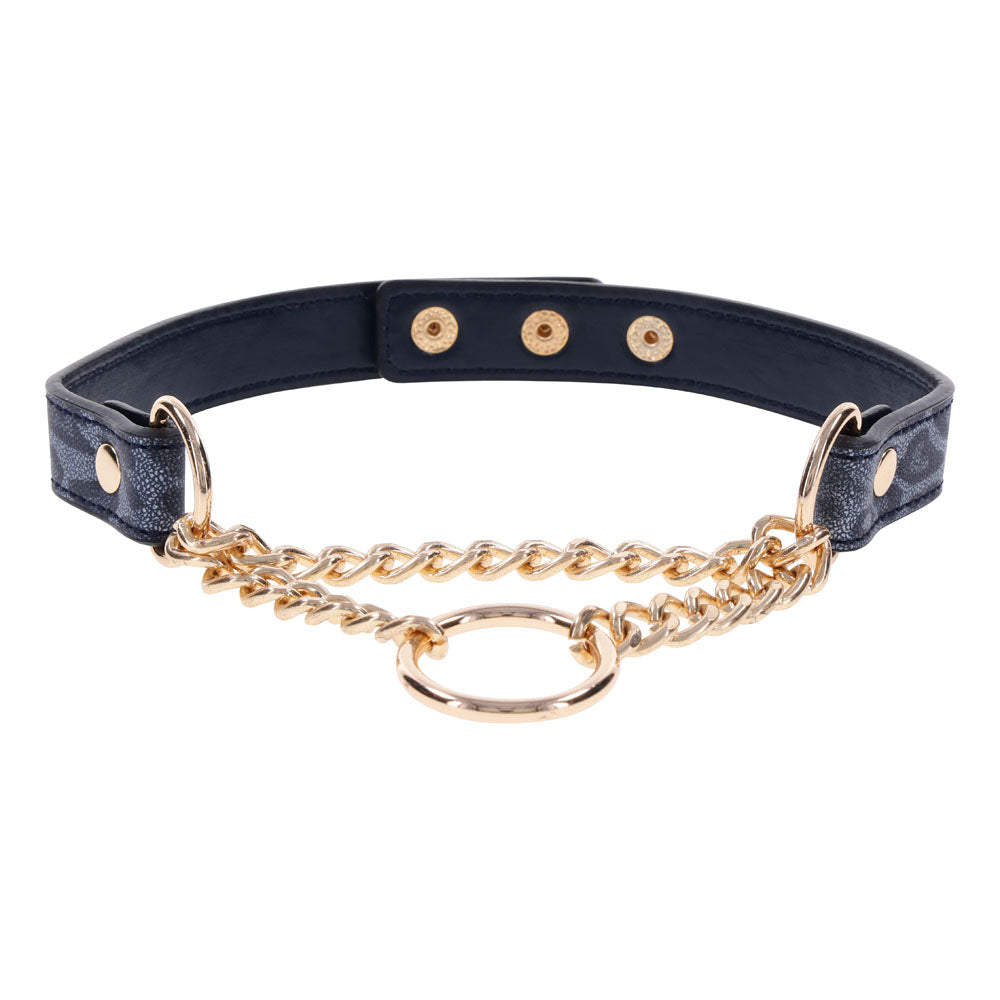 Sex & Mischief Cougar Day Collar - Navy Blue/Gold Collar-SS09974