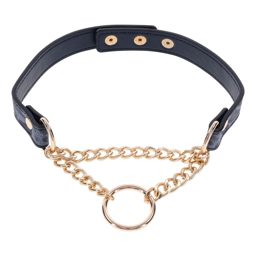 Sex & Mischief Cougar Day Collar - Navy Blue/Gold Collar-SS09974