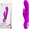 Rechargeable Hot Rabbit (Purple)-BI-014480