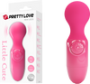 Rechargeable Mini Stick (Pink)